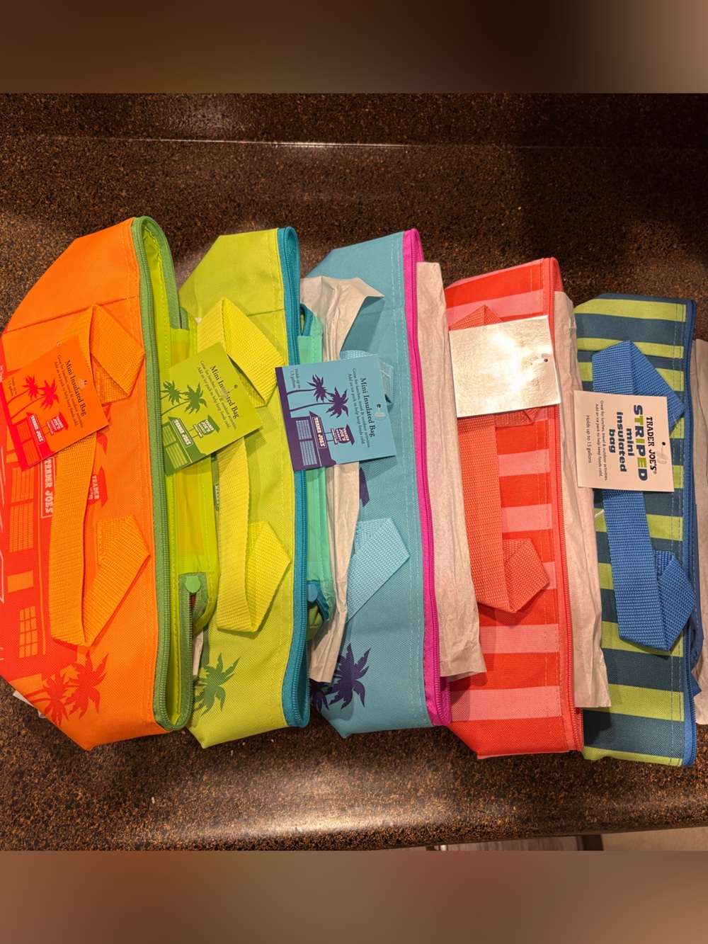 Trader Joe’s Mini Insulated Tote Bags Set of 5